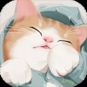 冰雨统计器手机版2018
