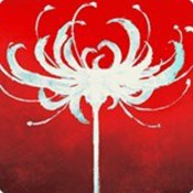挑码工具app